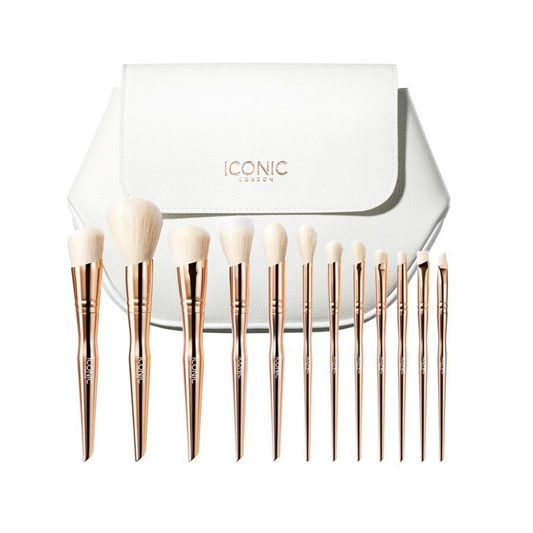 ALL ANGLES BRUSH SET