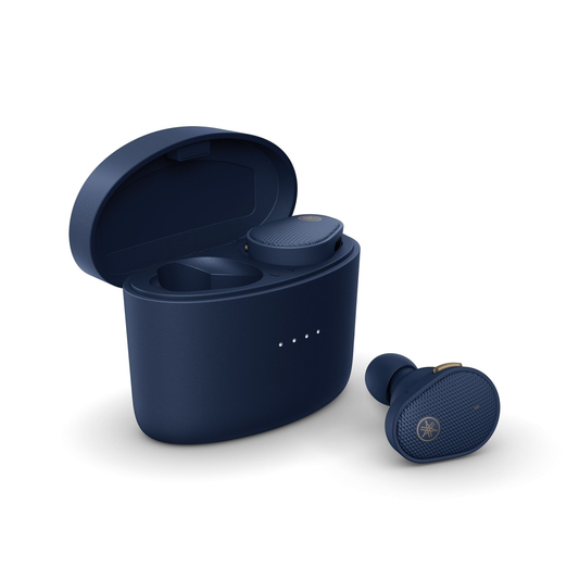 TRUE WIRELESS EARBUDS - (BLUE)